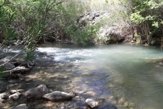 Image 18 thumb