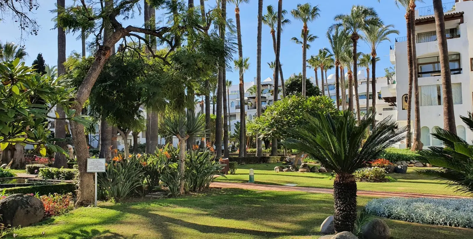 Sale of ground floor apartment in Puerto Banús 22