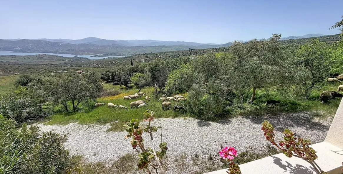 Venta de villa independiente en Alcaucín 48