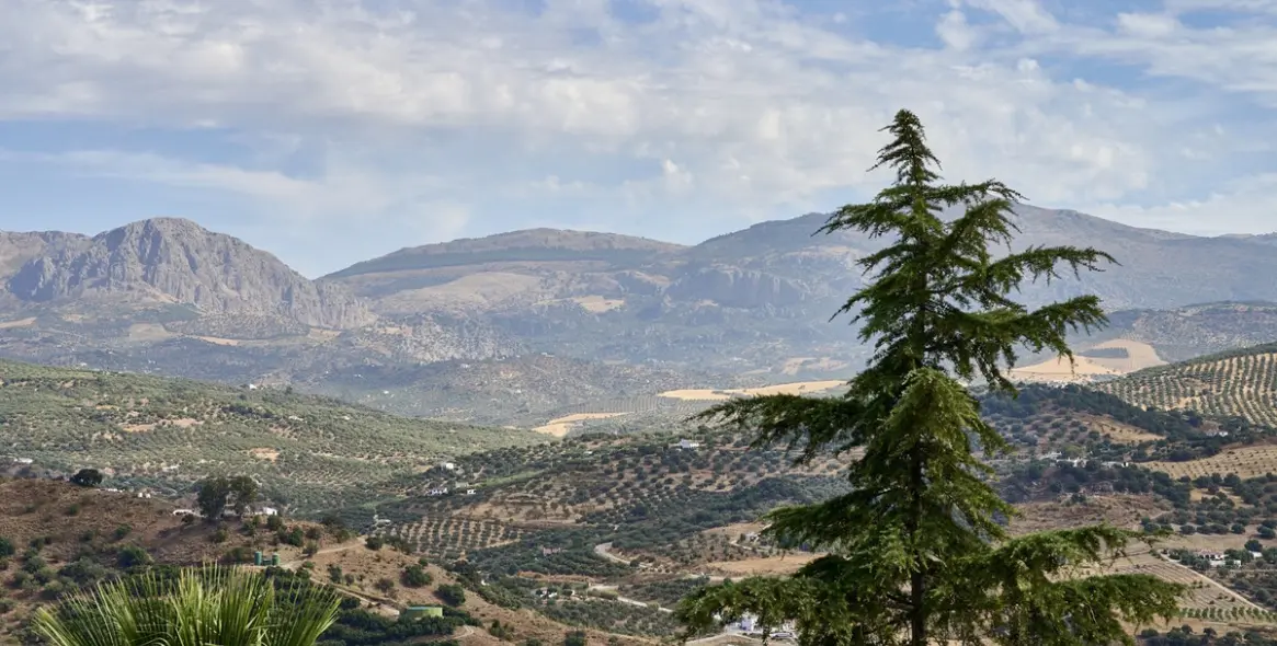 Venta de villa independiente en Comares 17