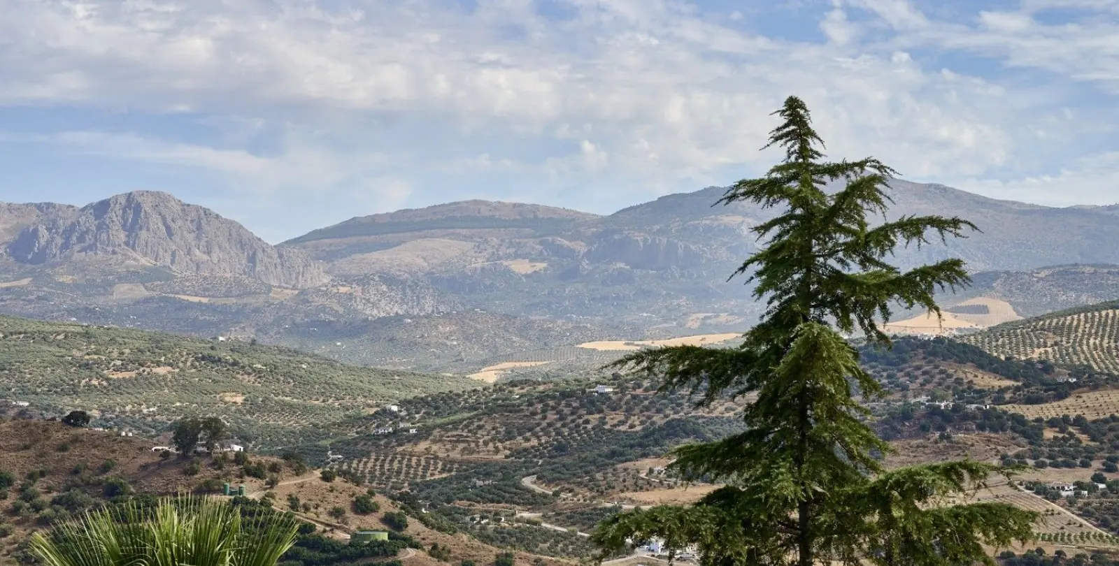 Sale of detached villa in Comares 18