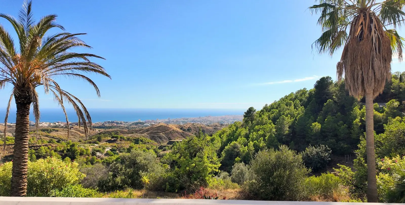 Sale of finca - cortijo in Mijas 30