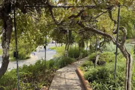 Image 7 thumb