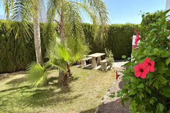 Image 8 thumb