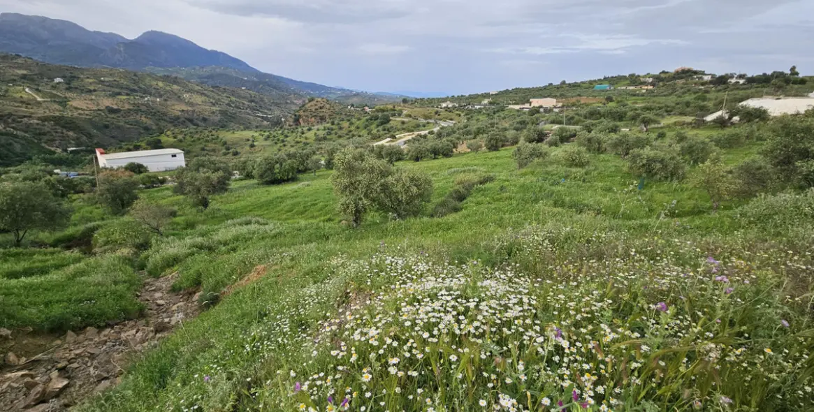 Venta de parcela residencial en Tolox 3
