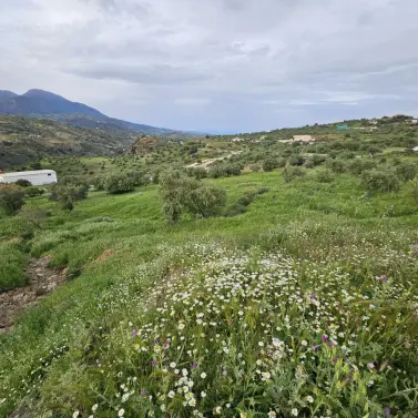 Venta de parcela residencial en Tolox