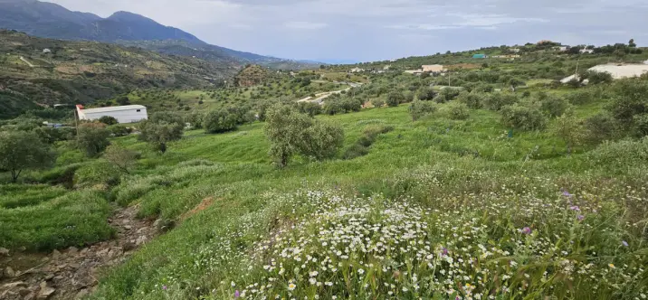 Venta de parcela residencial en Tolox 2