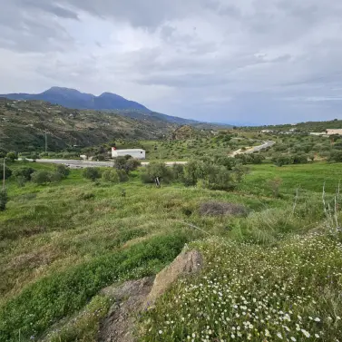 Venta de parcela residencial en Tolox
