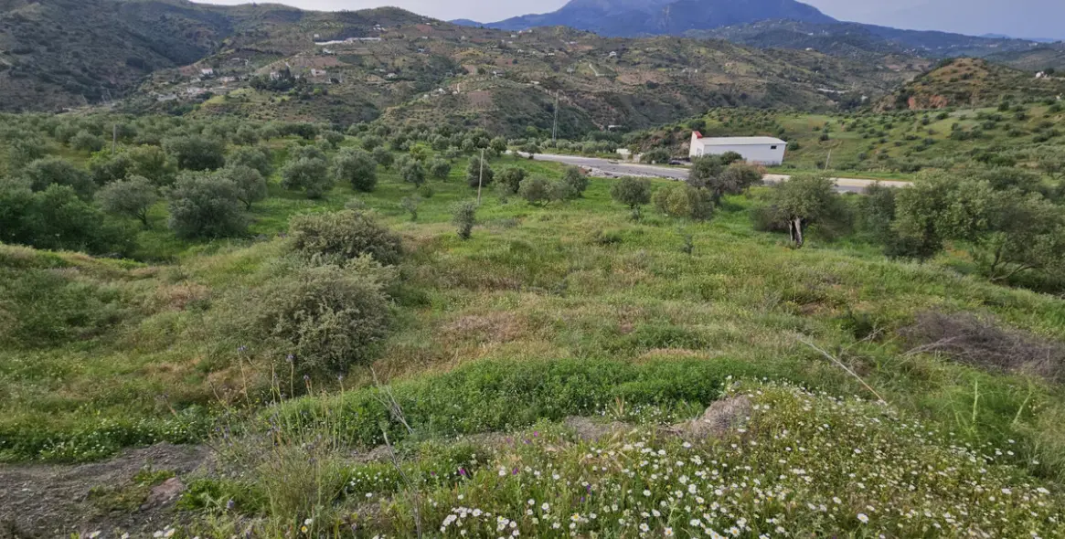 Venta de parcela residencial en Tolox 6