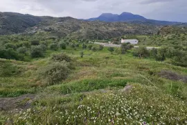 Image 6 thumb
