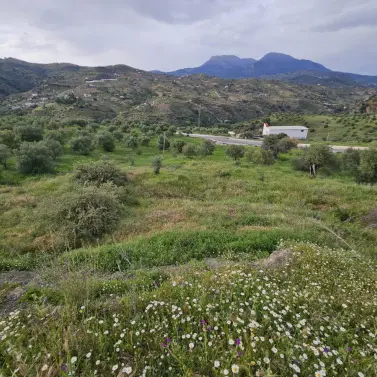 Venta de parcela residencial en Tolox