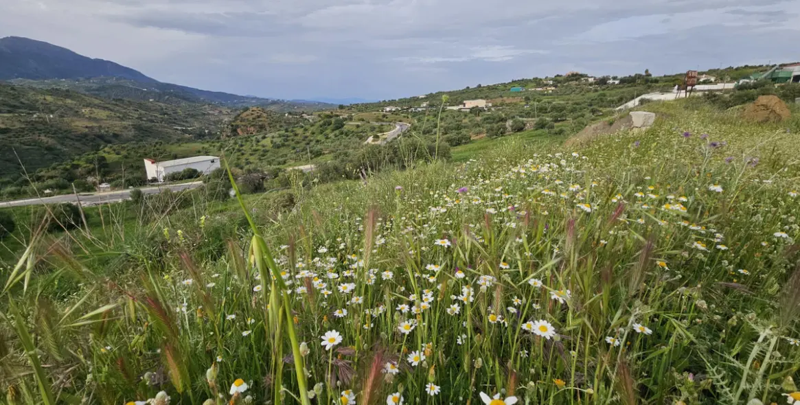 Venta de parcela residencial en Tolox 7