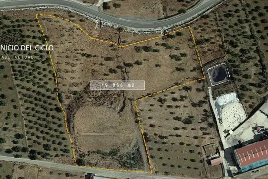 Image 2 thumb