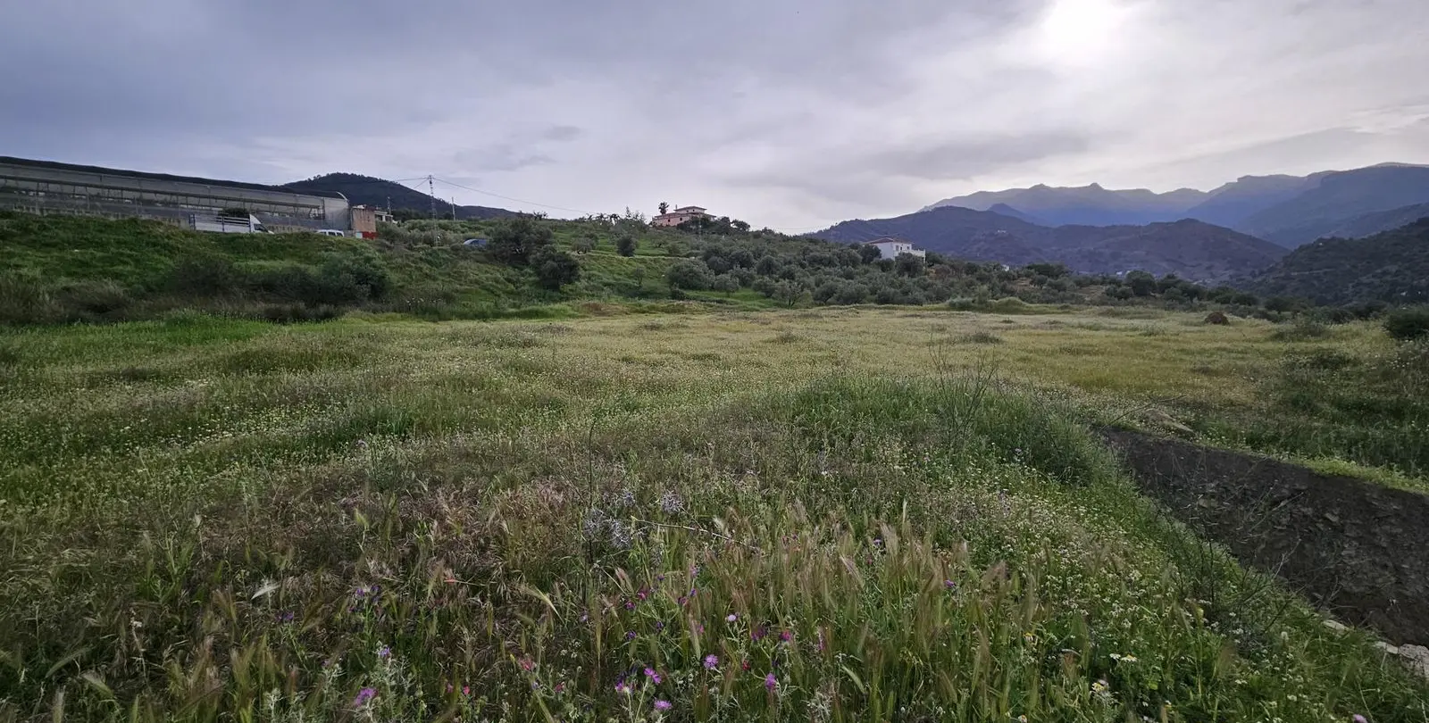 Sale of residential plot in Tolox 6
