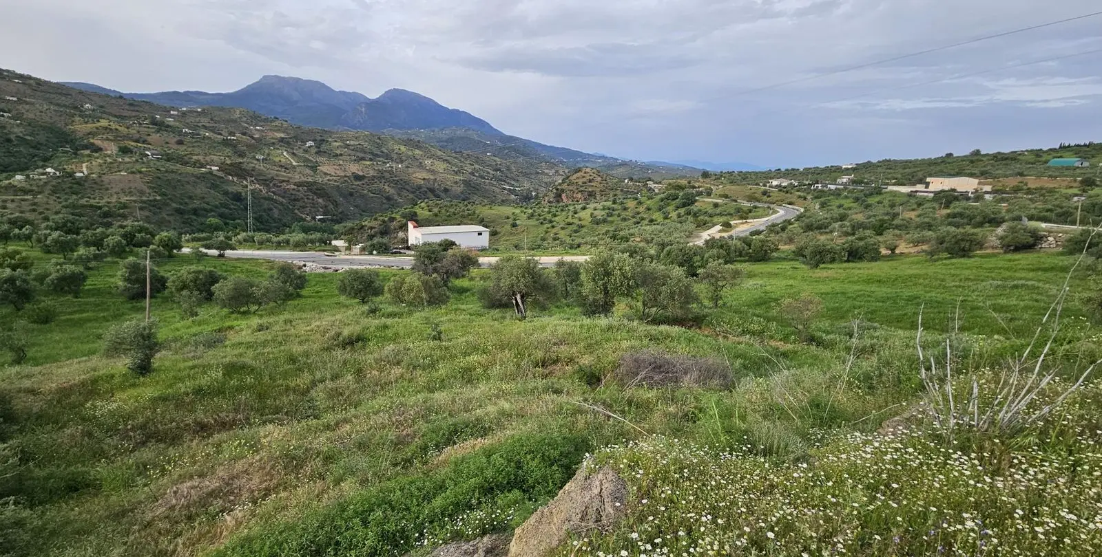 Sale of residential plot in Tolox 7