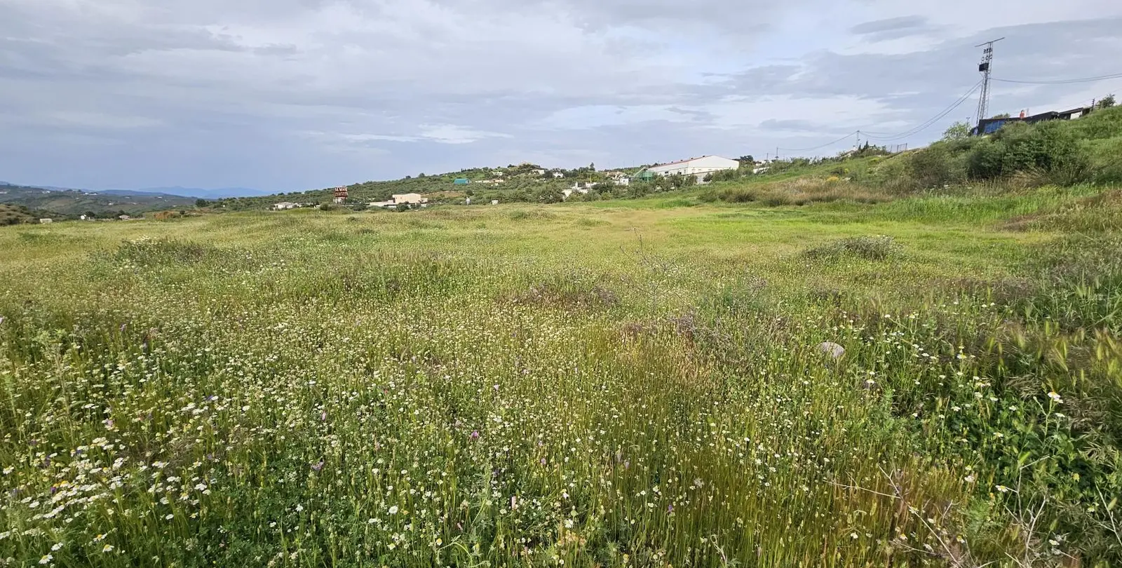 Sale of residential plot in Tolox 8