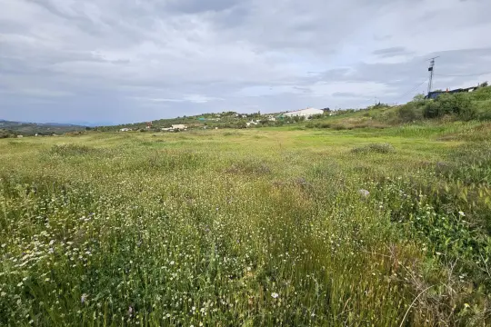 Image 8 thumb