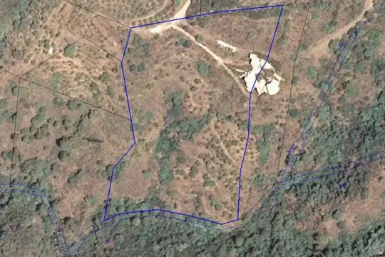 Image 1 thumb