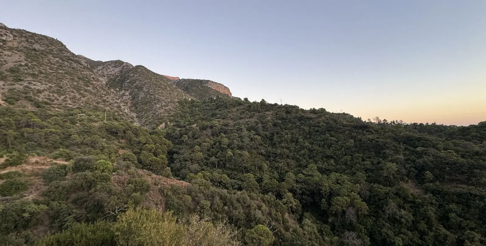 Venta de parcela residencial en Istán 17
