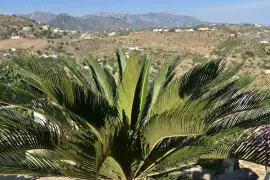 Image 3 thumb