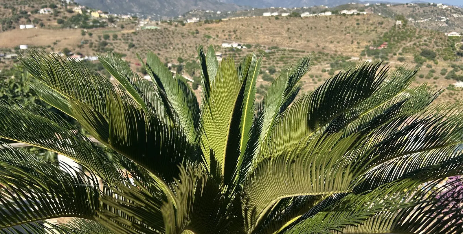 Venta de villa independiente en Torrox 4