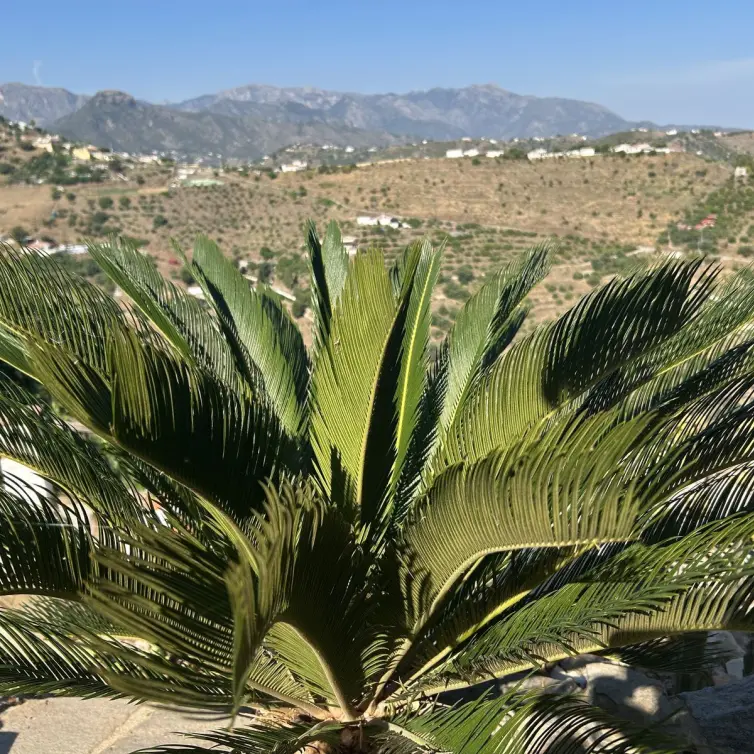 Venta de villa independiente en Torrox