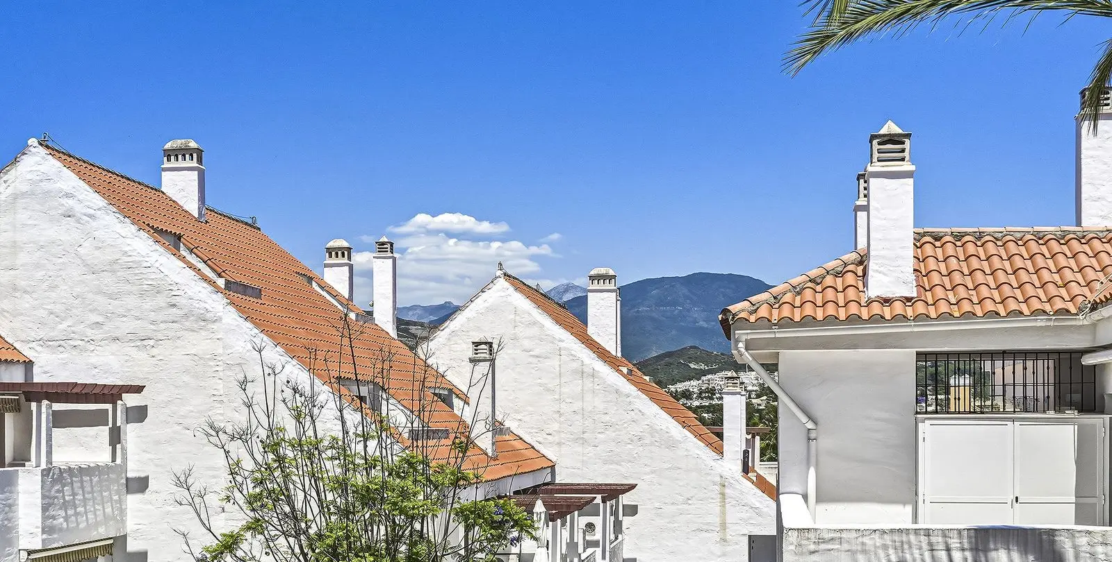 Sale of middle floor apartment in Nueva Andalucía 7