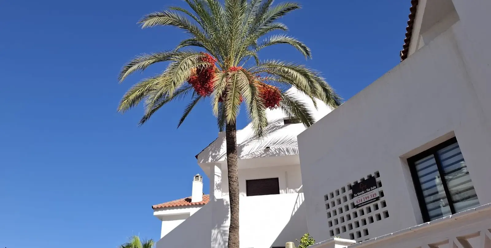 Sale of middle floor apartment in Nueva Andalucía 23
