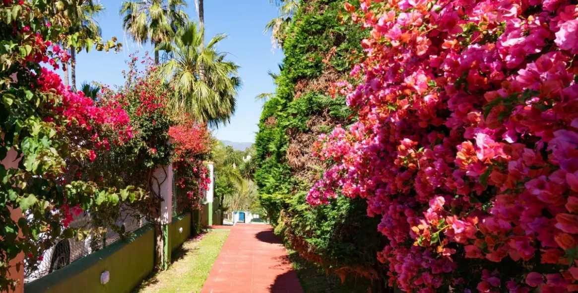 Sale of townhouse in Estepona 23