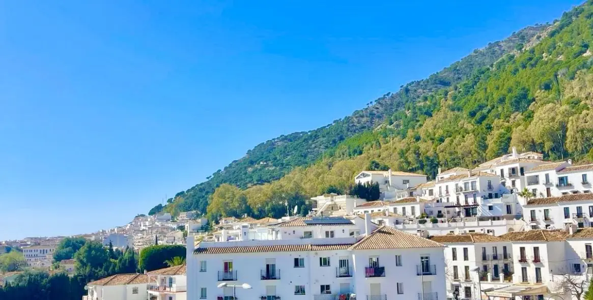 Продажа пентхауса в Mijas 9