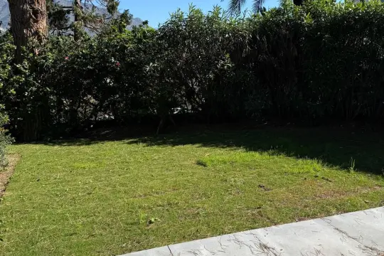 Image 7 thumb