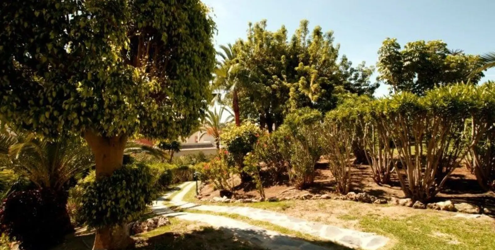Venta de apartamento en planta baja en Nueva Andalucía 40