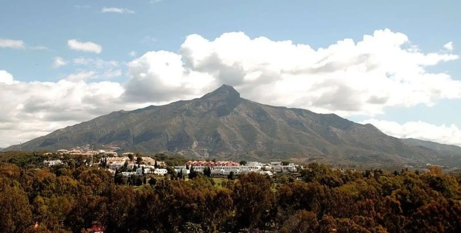 Venta de apartamento en planta baja en Nueva Andalucía 41
