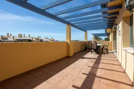 Image 4 thumb