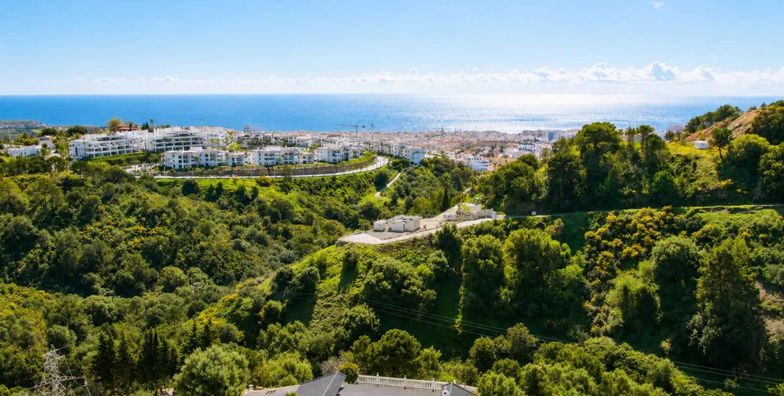Sale of finca - cortijo in Estepona 1