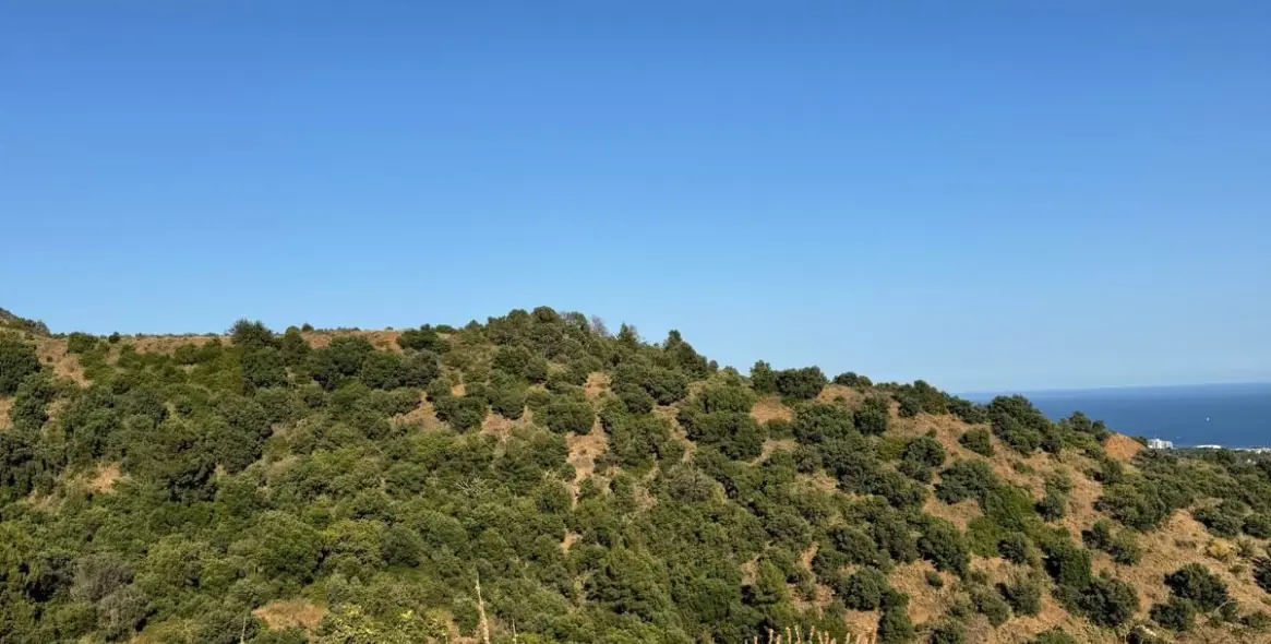 Venta de parcela comercial en Sierra Blanca 3