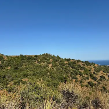 Venta de parcela comercial en Sierra Blanca