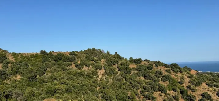 Venta de parcela comercial en Sierra Blanca 2