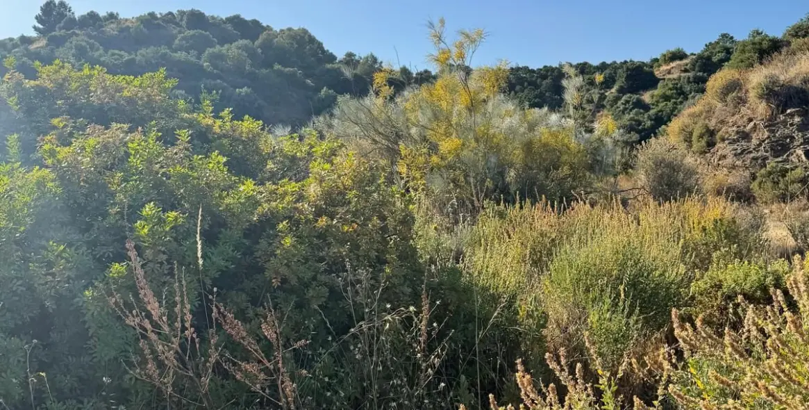 Venta de parcela comercial en Sierra Blanca 5