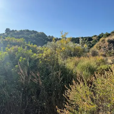 Venta de parcela comercial en Sierra Blanca