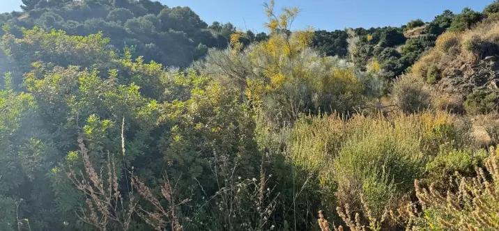 Venta de parcela comercial en Sierra Blanca 4