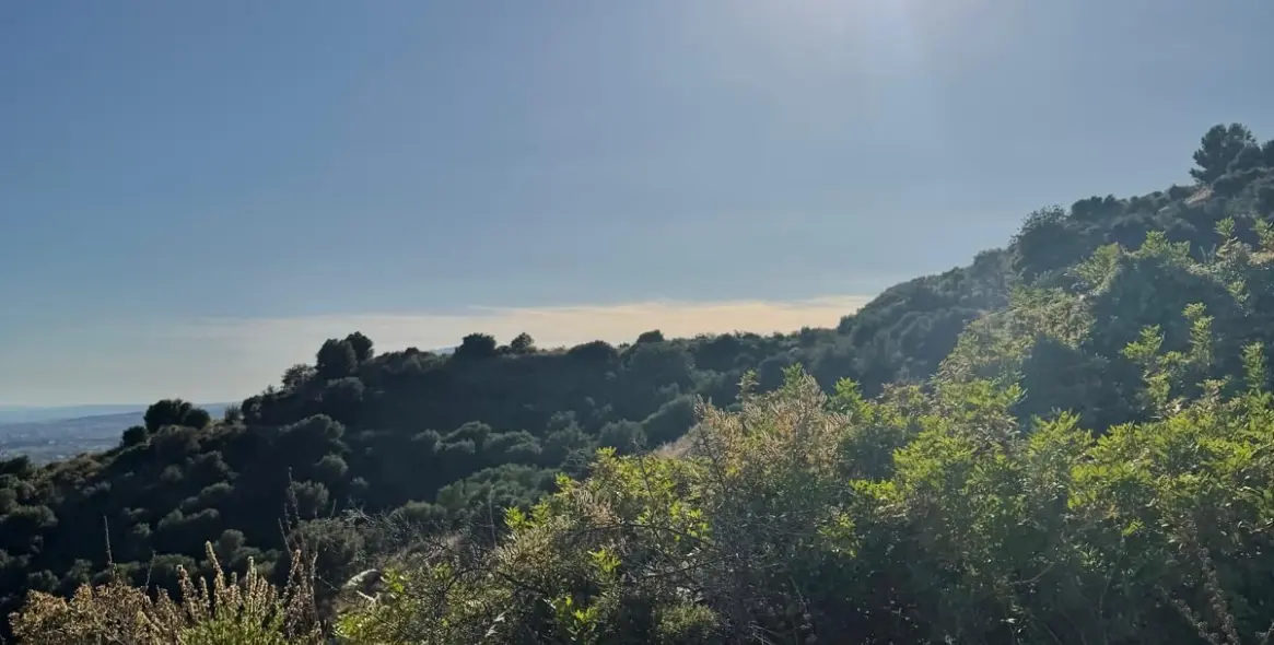 Venta de parcela comercial en Sierra Blanca 6