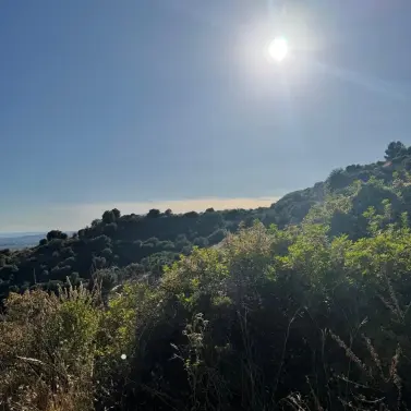 Venta de parcela comercial en Sierra Blanca