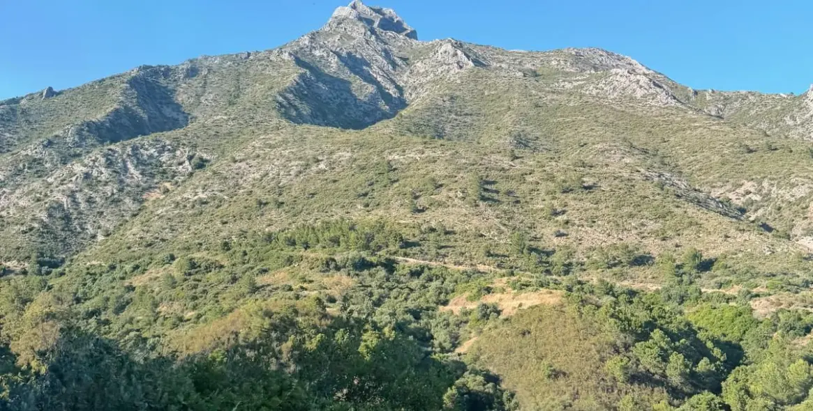 Venta de parcela comercial en Sierra Blanca 33