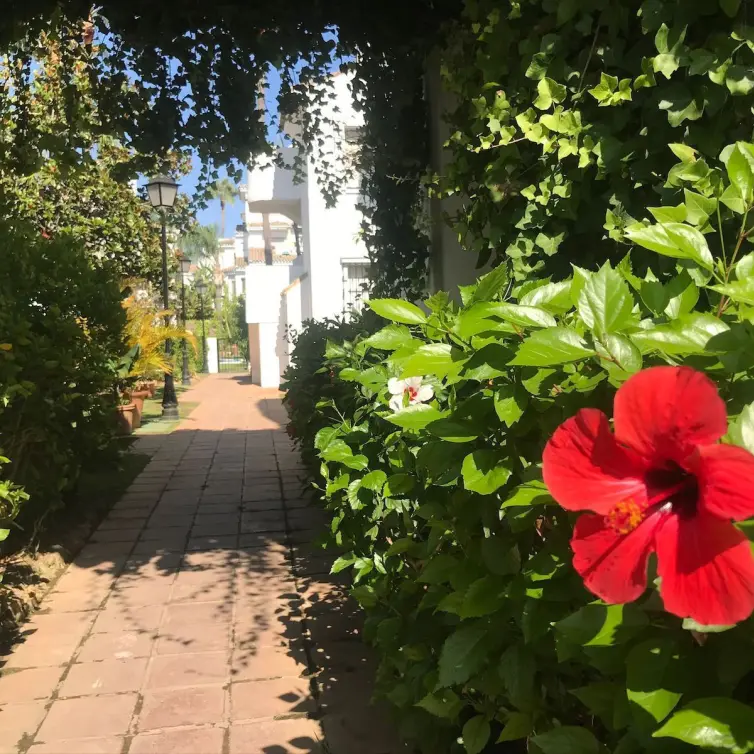 Venta de apartamento en planta media en Nueva Andalucía