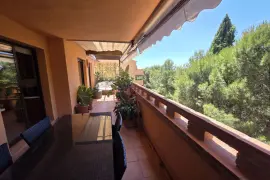 Image 6 thumb