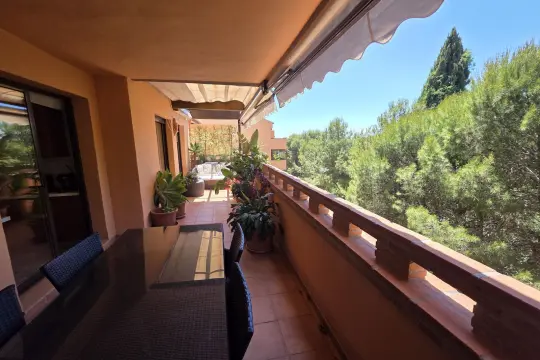 Image 6 thumb
