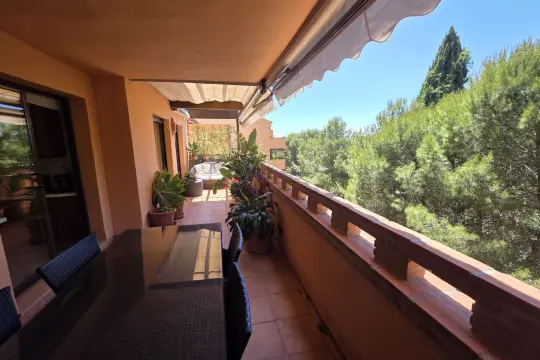 Image 7 thumb