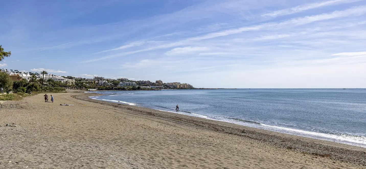 Sale of detached villa in Estepona 4