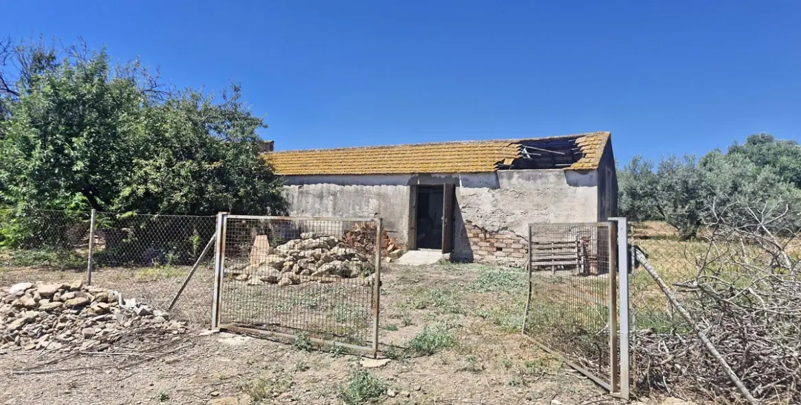 Venta de finca - cortijo en Campanillas 15